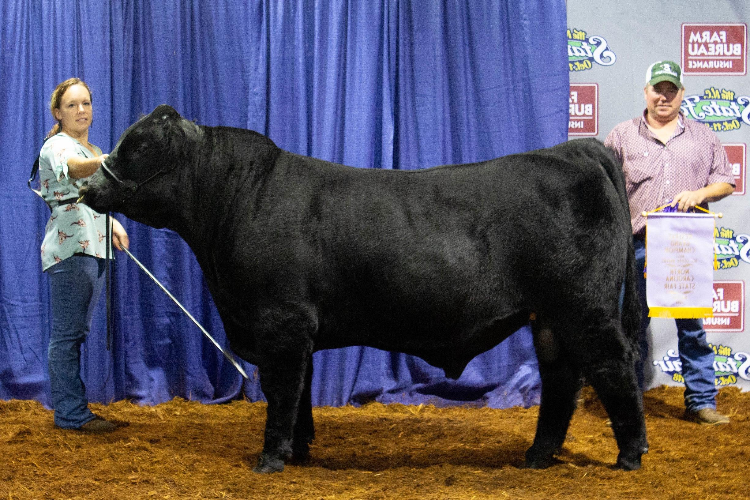 livestock show North Carolina state fair